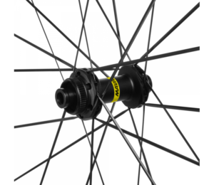 HUB ANT